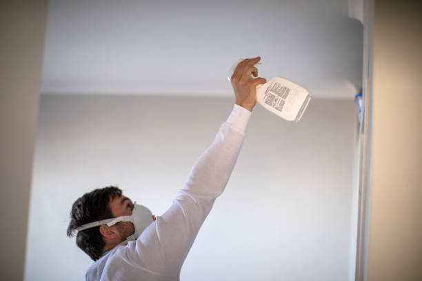 Best Local Mold Removal Service  in Hurlock, MD